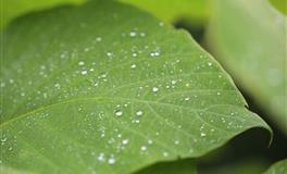 马乔丽天秤座2021年12月运势