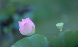 天秤座2022上半年运势大趋势！