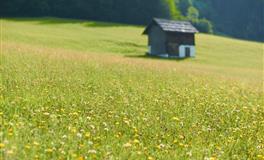 玛法达双子座一周运势（12.1-12.7）