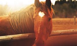 2022上半年财源滚滚星座排行榜