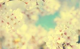 遇到再委屈的事也不会和伴侣抱怨的四大星座