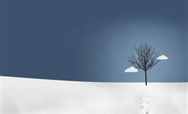 苏珊米勒每日运势2021年12月23日