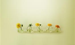 帕特里克白羊座一周爱情运势（12.13-12.19）