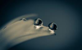 对于12星座来说，什么情况最不容易妥协呢？