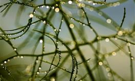 Taylor Moon白羊座2022年运势