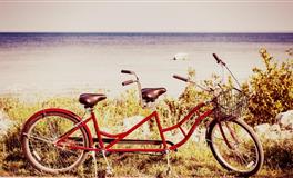 苏珊米勒每日运势2021年12月29日