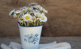 静电鱼巨蟹座每周运势（12.20-12.26）