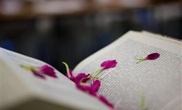 在感情中玻璃心，表白一旦被拒绝，就会彻底放弃的星座