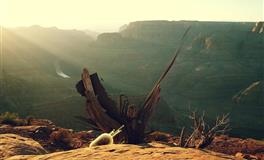 即使做错事，依然理直气壮的星座，你遇到过吗？