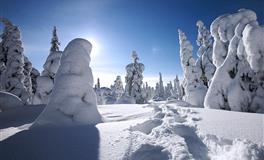 魅力无限！最让男人上瘾的星座女