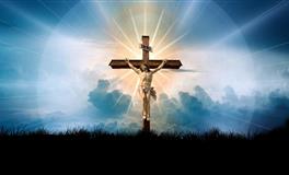 无心恋爱，只想赚钱的星座，不为情所困，反而活得自在