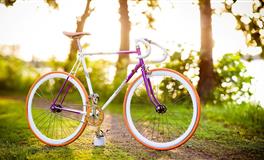 喜欢安静，独来独往，不喜欢被打扰的几个星座