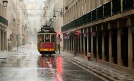 杨清华12生肖一周运势（1.10-1.16）