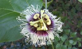 罗伯2022年心灵指引之三