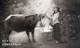 克莉丝汀金牛座一周运势（1.5-1.11）