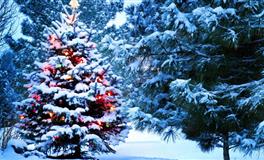 App2022年1月星座运程