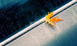 静电鱼白羊座一周运势(2.14-2.20)