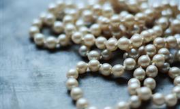 杀破狼巨蟹座一周运势(2.21-2.27)