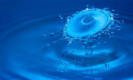 苏珊米勒2022年金牛座运势