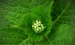 苏珊米勒每日运势2022年3月16日