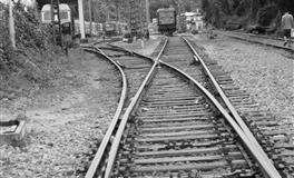 恋爱后有求必应，会为了你付出一切的四大星座