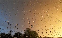 展钰凝魔羯座一周运势（3.14-3.20)