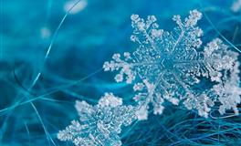 “集万千钟爱于一身”的生肖女，长得好看就算了，还天生好命