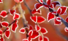 2022新启程！十二星座【白羊新月许愿】方向