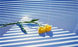 万人迷！颜值最高，气质最好，魅力最大的星座，走到哪都是闪光点