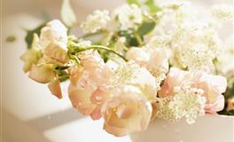 十二星座在爱情中，最让你不知所措的招数是什么？你遇到了吗？