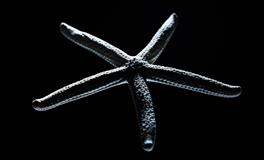 十二星座最该远离的人，最相信的人，往往伤你最深