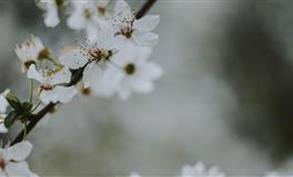 抗压能力差，承受不了一点压力的星座