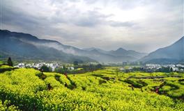 闹闹女巫店巨蟹座一周运势(3.21-3.27)