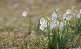 苏珊米勒每日运势2022年3月30日