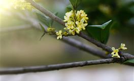 最容易犯糊涂的星座，完全不懂自我反省，一条路走到黑