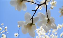 江暖2022年星座运势