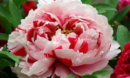 认准了，跟这些星座男在一起最有安全感