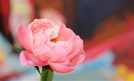 情商最高，悟性最强，凡事一看就透的三大星座