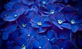 竹猫星球天秤座一周塔罗运势（3.21-3.27）