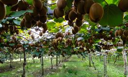 内心戏超多的3星座，个个都是表里不一的伪装者