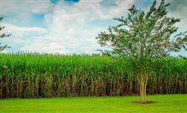 杀破狼双子座一周运势(3.28-4.3)