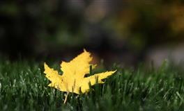 最容易招黑的星座，容易让人误解，看看都有谁？