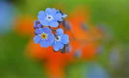 最塔罗双子座一周运势(3.21-3.27)