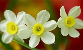 出了名的抠门的三大星座，典型的铁公鸡，有钱也装穷