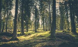 看似知书达理，其实内心阴暗面最深的星座，不要轻易招惹