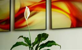 2022年4月财运旺旺的星座大点名