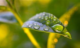 即使为人低调，掩盖不住耀眼的锋芒的星座