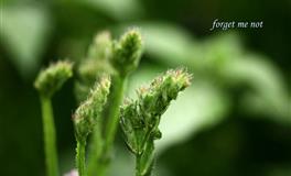 神叨酱心灵疗愈指引2022年3月23日