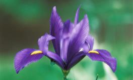 神叨酱心灵疗愈指引2022年3月26日