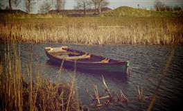 这几个星座天生好命，不需要刻意努力